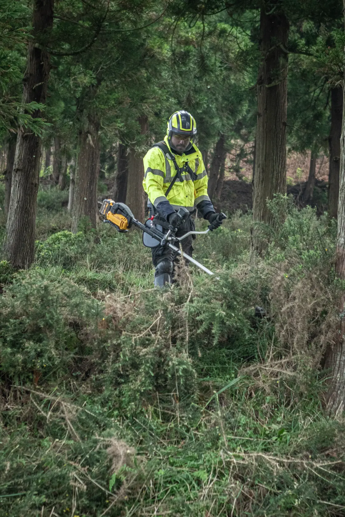 Ouvrier avec coupe-bordures DEWALT en forêt. Modèles : DCMBC723N-XJ, DCMBC723N. Catégorie photographie.
