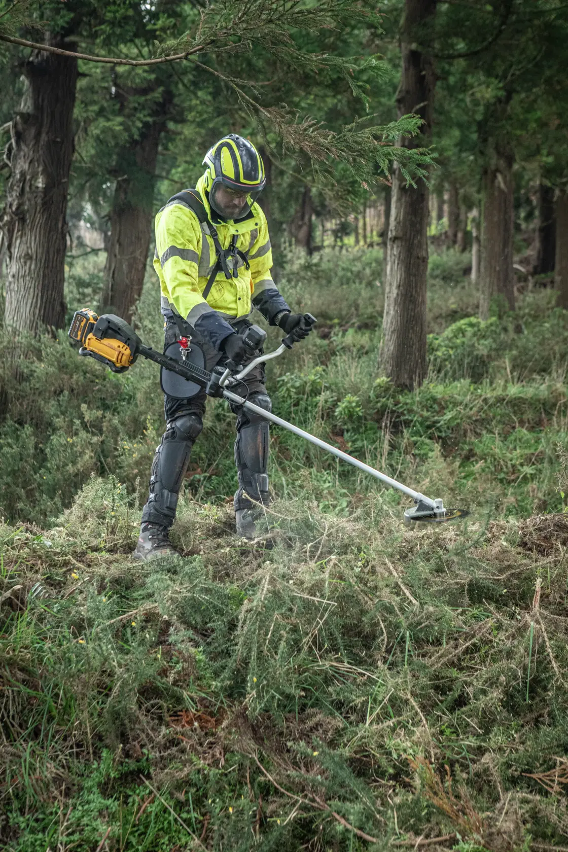 Utilisateur avec débroussailleuse DEWALT DCMBC723N-XJ, DCMBC723N en forêt. Équipement de sécurité.