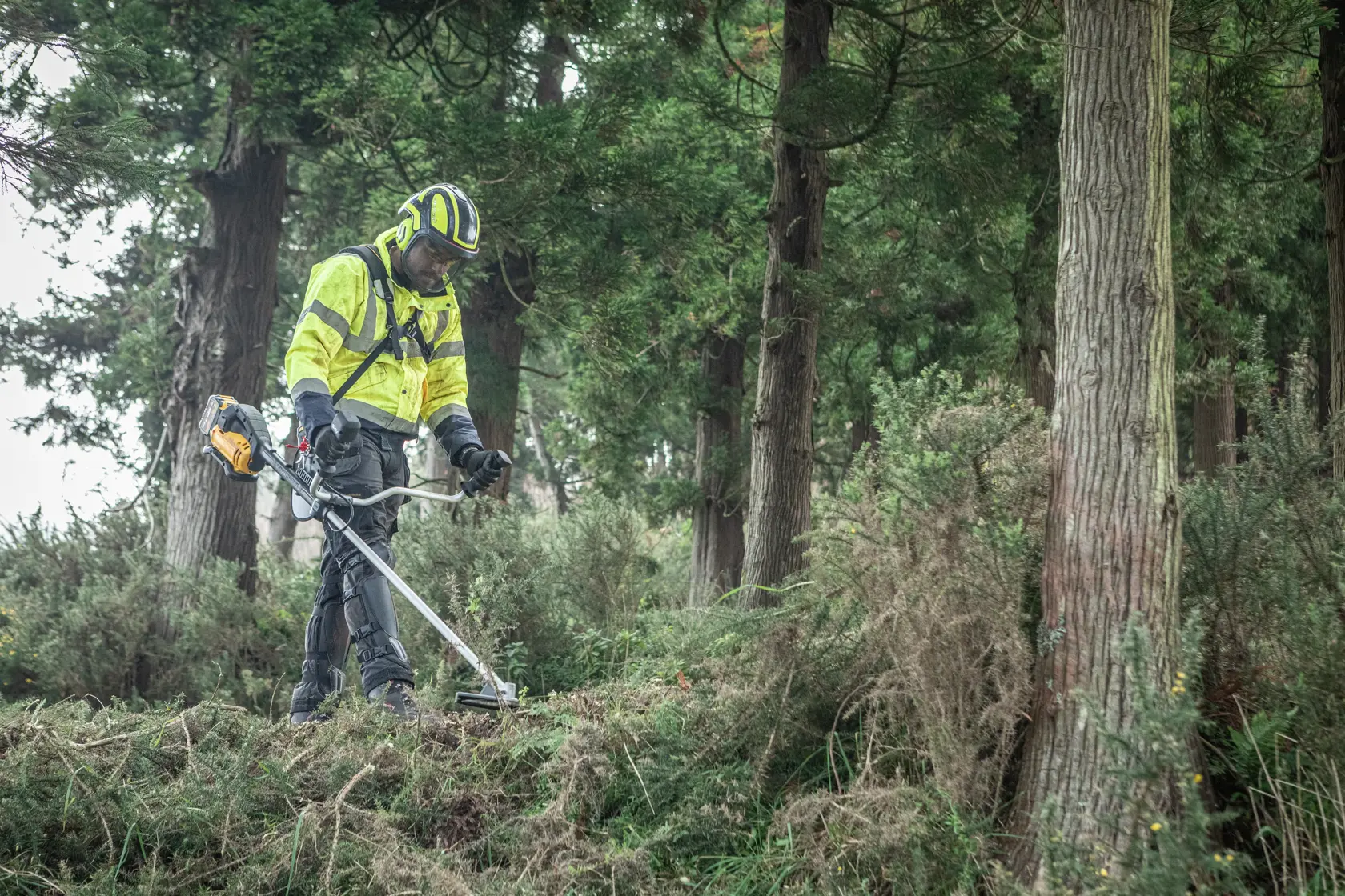 Personne utilise DEWALT DCMBC723N-XJ, DCMBC723N débroussailleuse en forêt, catégorie photographie.