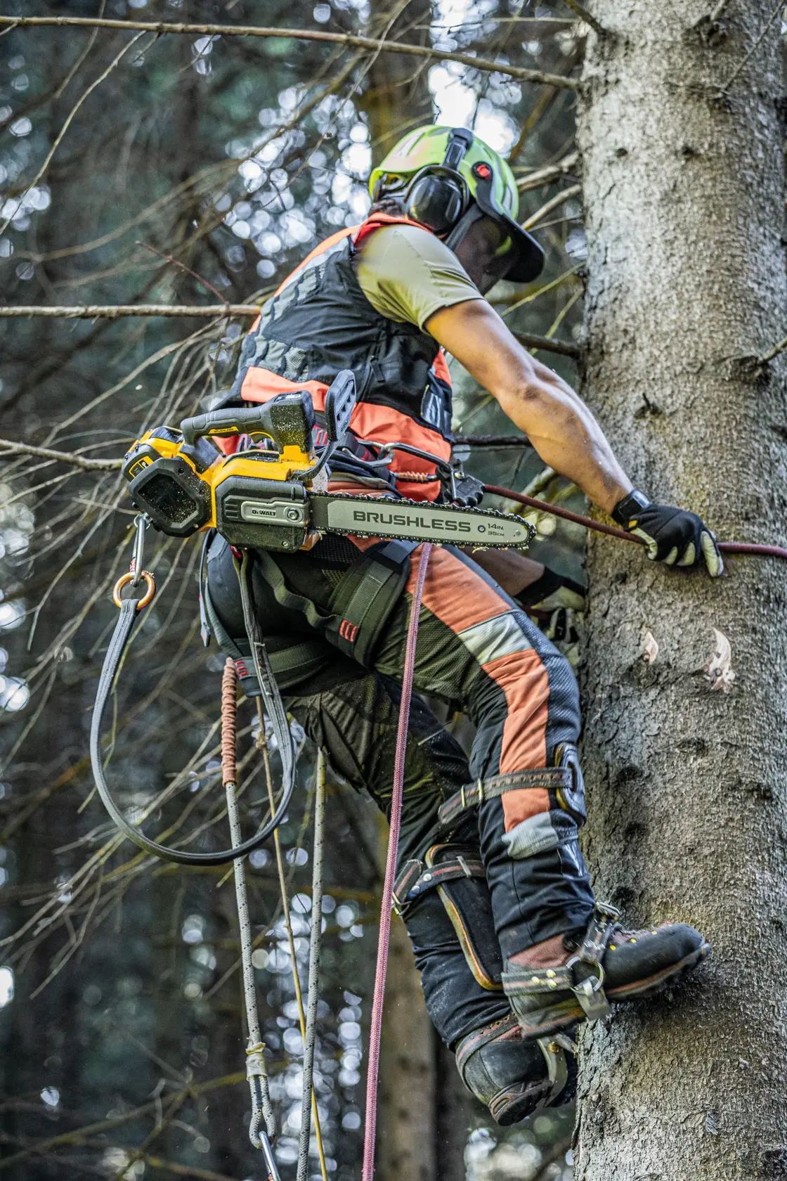 Tronçonneuse d'élagage 35 cm XR Flexvolt 54V brushless