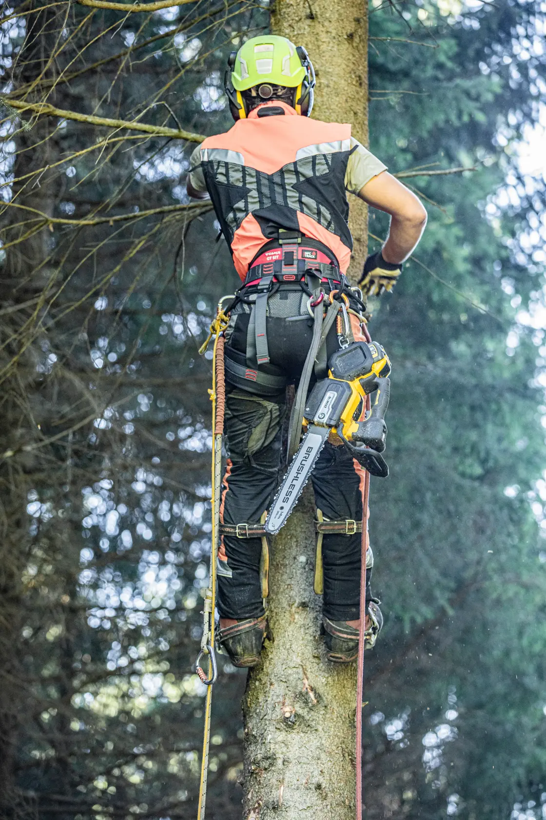 Tronçonneuse d'élagage 35 cm XR Flexvolt 54V 3 Ah Li-ion brushless
