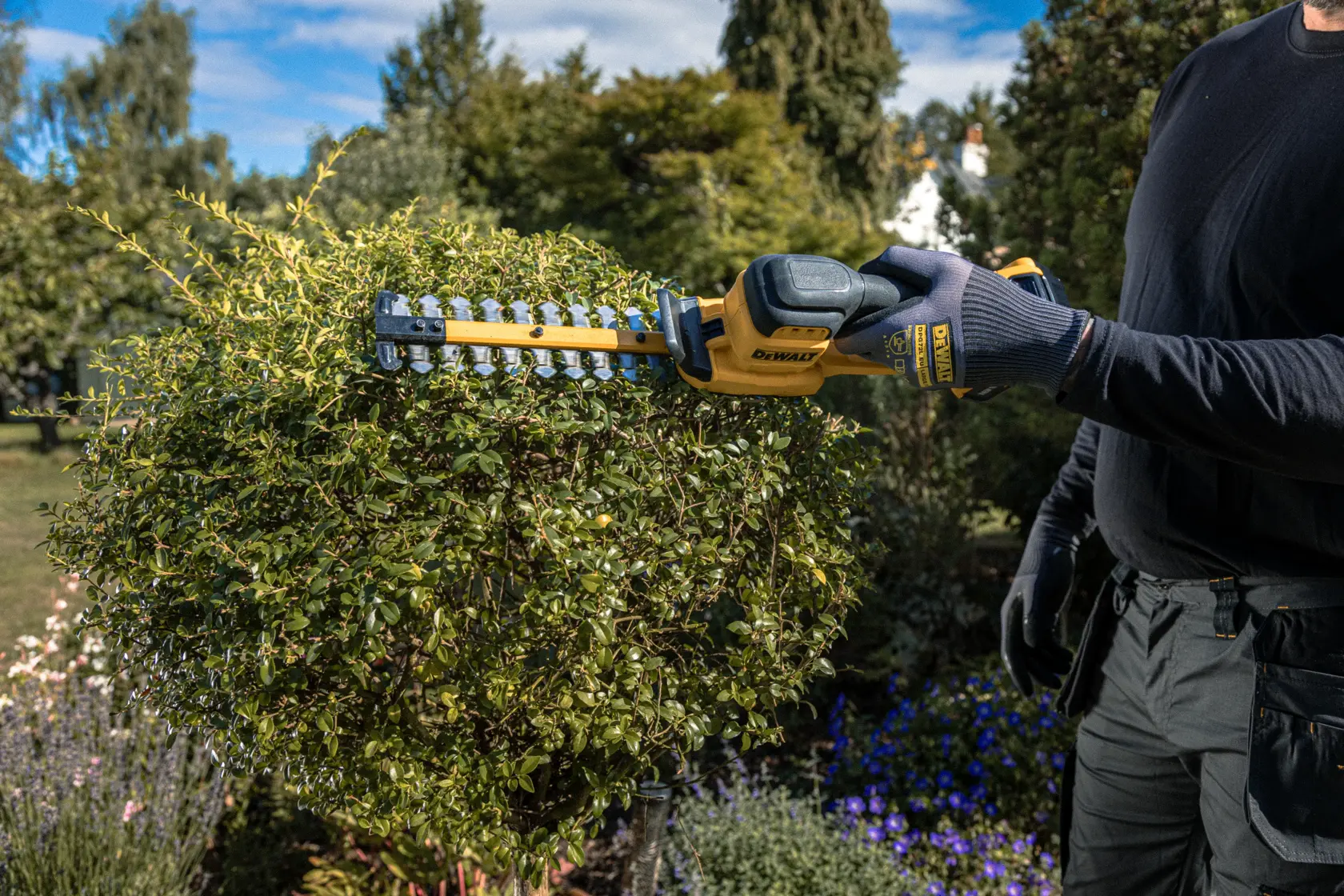 Taille-haie DEWALT utilisé dehors. Réf: DCMHT520N-XJ, DCMHT520D1-QW, DCMHT520D1, DCMHT520N.