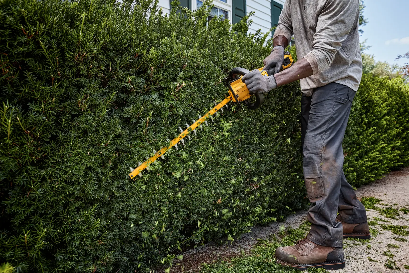 Taille-haies XR Flexvolt 54V 3 Ah Li-ion brushless