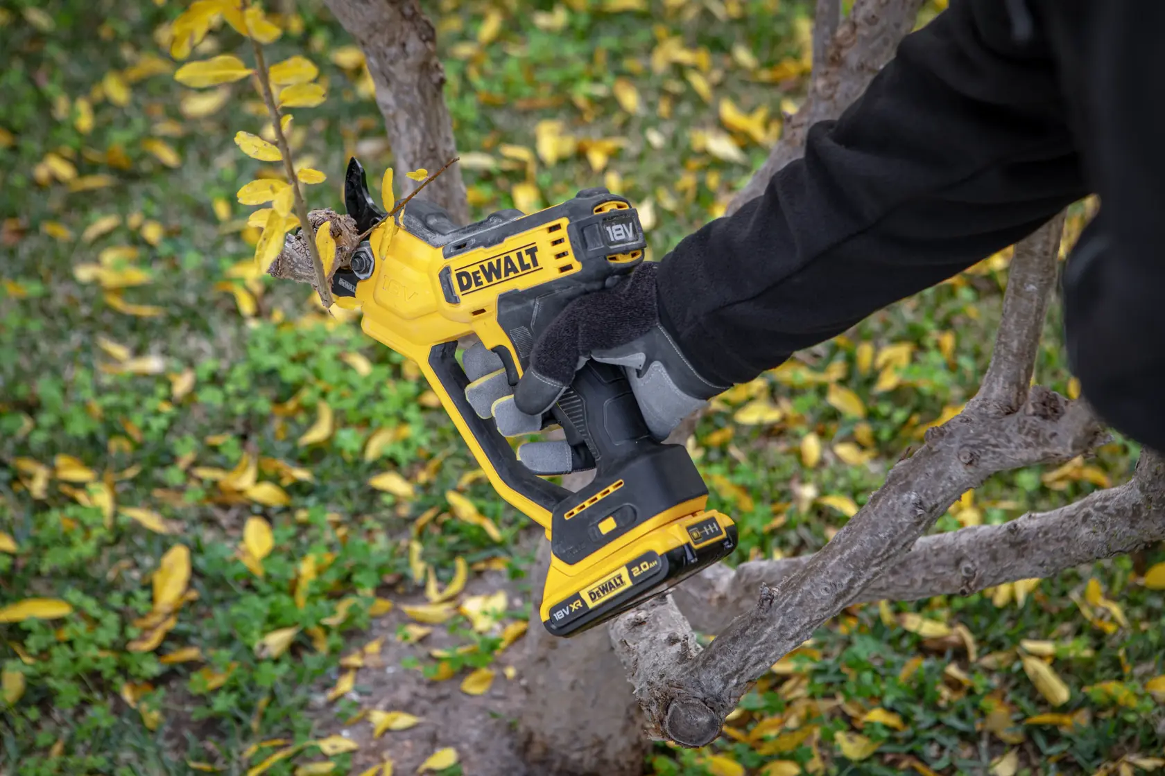 Une personne utilise une scie d’élagage sans fil DEWALT pour couper une branche dehors.