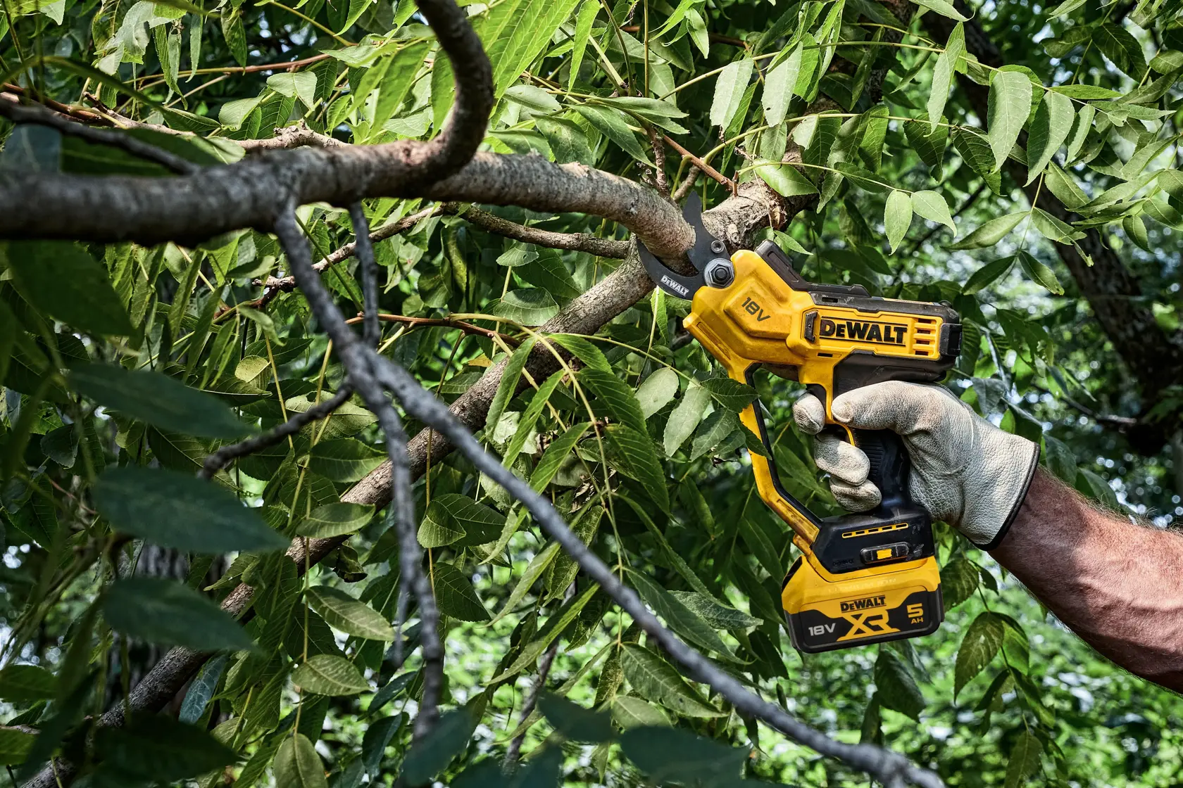 Coupe branches XR 18V 5 Ah Li-ion