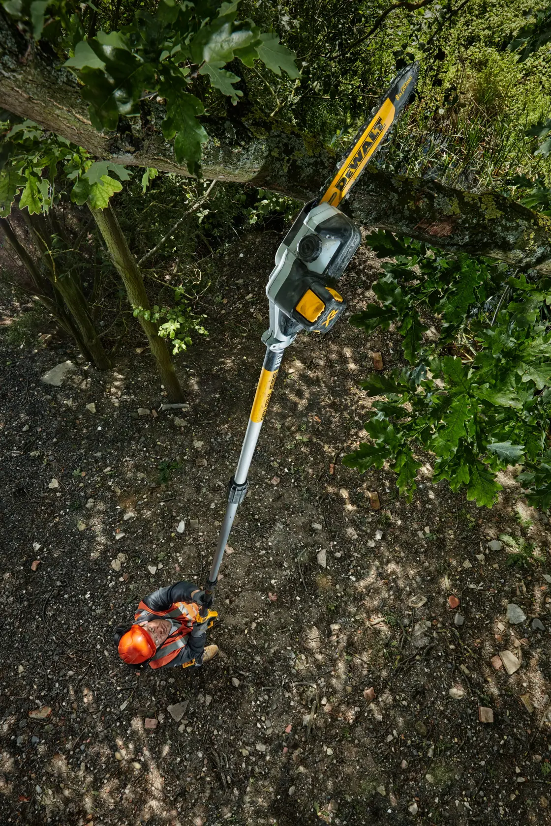 Élagueuse sur perche XR 18V