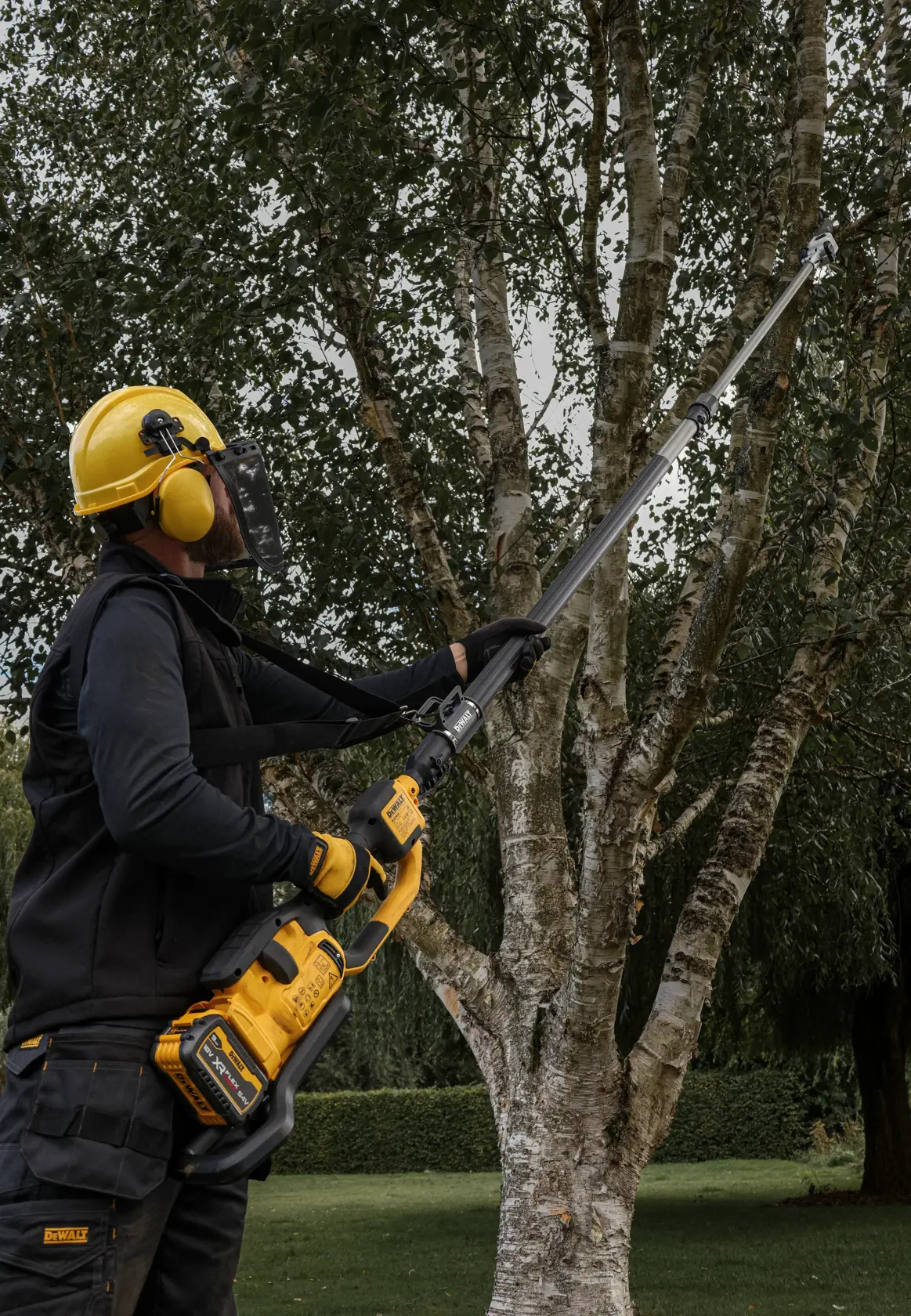 Combisystème XR Flexvolt 54V 3 Ah : bloc moteur + tête de coupe-bordure - 1 batterie