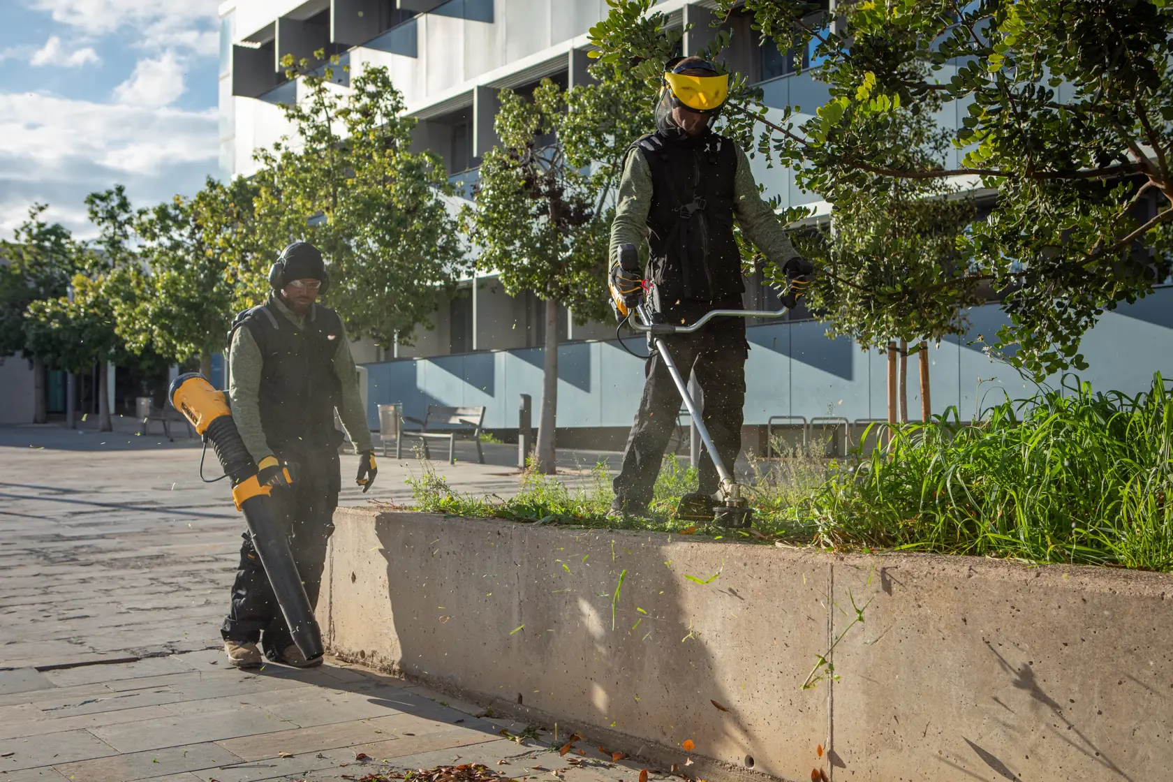 Deux personnes utilisent des outils DEWALT pour entretenir l'extérieur, tailler l'herbe et souffler les feuilles.
